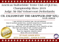 Ch. Zaliamstaff The Grappler (Imp NZL).png